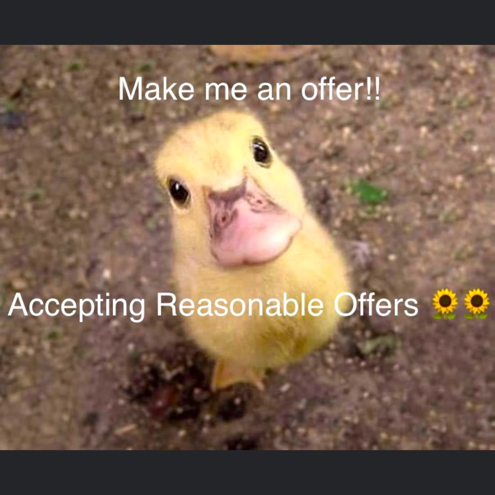 Accepting All Reasonable Offers!